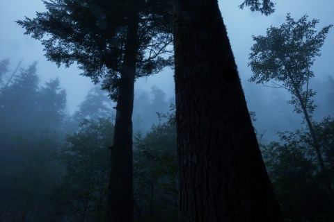 Driving Down This Haunted South Carolina Road Will Give You Nightmares