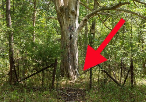 This Creepy Ghost Town In South Carolina Is The Stuff Nightmares Are Made Of