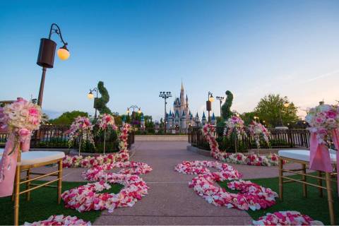 What Disney World Just Opened Will Make Your Childhood Dreams Come True