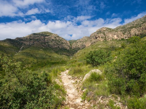 10 Incredible Hikes Under 5 Miles Everyone In Texas Should Take