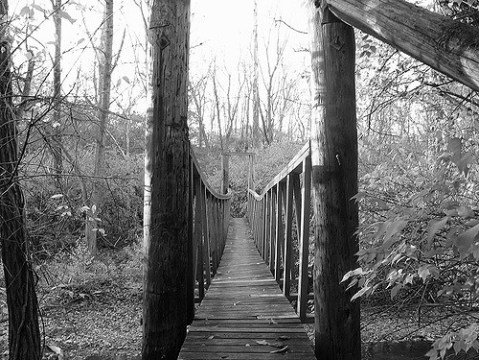 This Terrifying Swinging Bridge In Indiana Will Make Your Stomach Drop