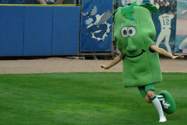 Wilmington Blue Rocks mascot