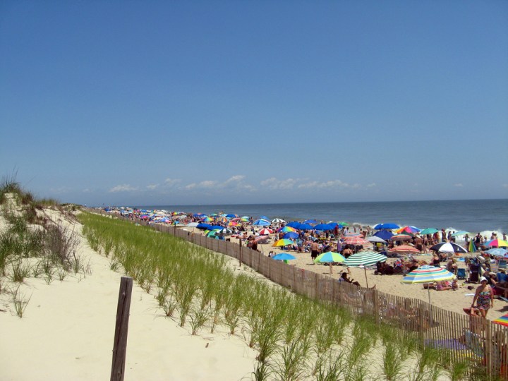 Rehoboth Beach