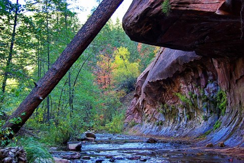 12 Incredible Hikes Under 5 Miles Everyone In Arizona Should Take