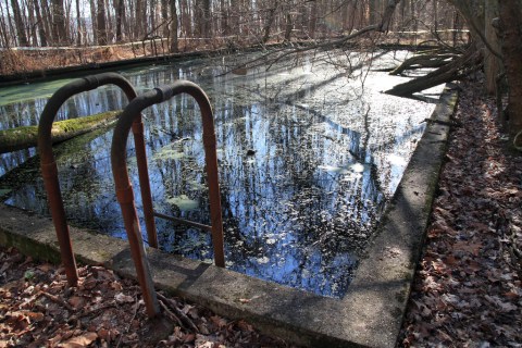 The Remnants of this Abandoned Theme Park in Indiana are Hauntingly Beautiful