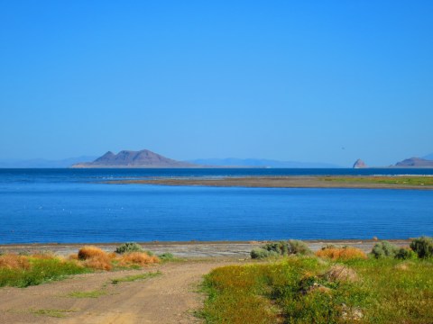 Not Many People Know About This One Amazing Island In Nevada