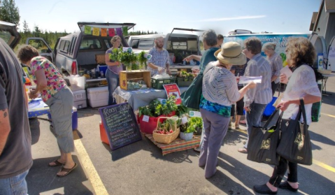 These 7 Incredible Farmers Markets In Alaska Are A Must Visit