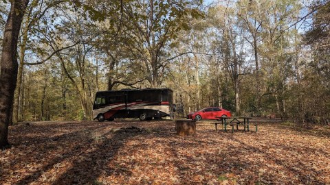 These 12 Amazing Camping Spots In Mississippi Are An Absolute Must See