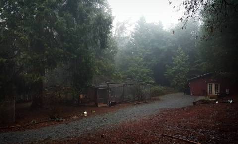 Don't Drive On This Haunted Street In Tennessee... Or You'll Regret It