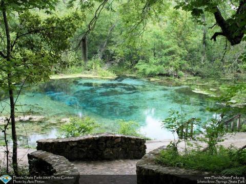 Everyone in Florida Must Visit This Epic Natural Spring This Summer