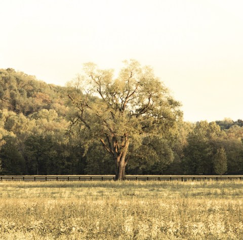 Don't Drive On This Haunted Street In Tennessee...Or You'll Regret It