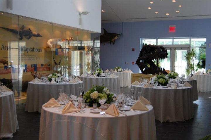 Delaware Museum of Natural History Wedding