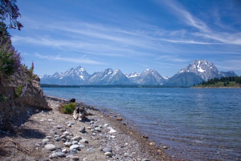 17 Gorgeous Lakes In Wyoming That You Must Check Out This Summer