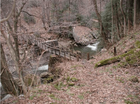 9 Incredible Hikes Under 5 Miles Everyone In West Virginia Should Take