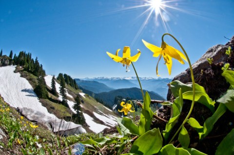 15 Incredible Hikes Under 5 Miles Everyone In Washington Should Take