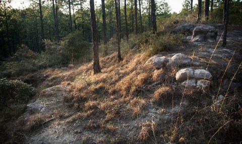 10 Incredible Hikes Under 5 Miles Everyone In Louisiana Should Take