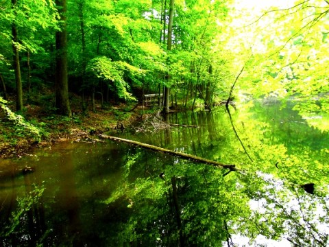 You Must See These 8 Stunning State Parks In Southern Indiana