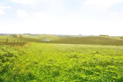 You'll Love The Sweet Story Of This Family Farm In Iowa