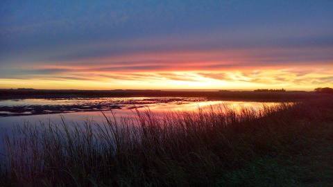 This Underrated Park Just Might Be The Most Beautiful Place In Minnesota