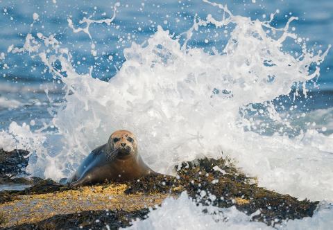 18 Unforgettable Things You Must Add To Your Maine Summer Bucket List