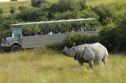 Most People Have No Idea You Can Take A Safari Right Here In Ohio