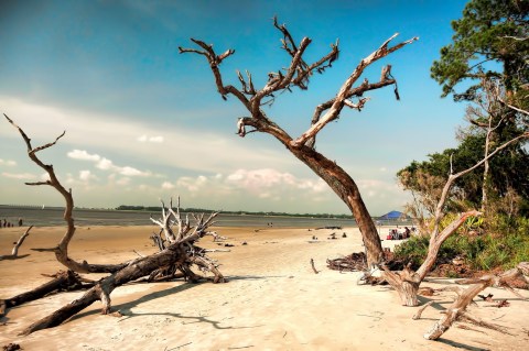 8 Little Known Beaches In Georgia That'll Make Your Summer Unforgettable