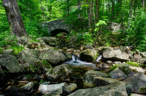 This Underrated Wildlife Preserve Just Might Be The Most Beautiful Place In New Jersey