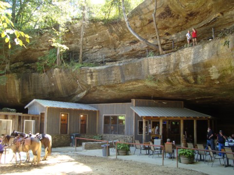 This Unique Restaurant In Alabama Will Give You An Unforgettable Dining Experience