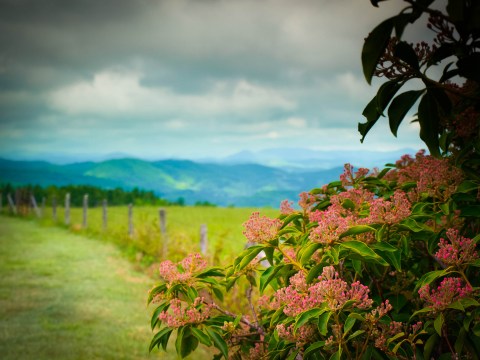 20 Undeniable Signs Summer Is Almost Here In North Carolina