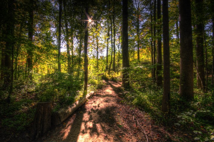 Middle Run Bike Trail