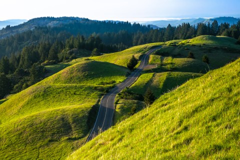 10 Amazing State Parks Around San Francisco That Will Blow You Away