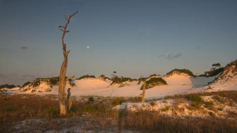 This Underrated State Park Just Might Be The Most Beautiful Place In Florida