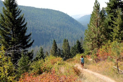 12 Incredible Hikes Under 5 Miles Everyone In Montana Should Take