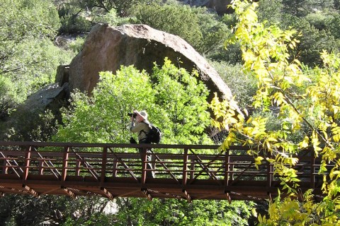 This Canyon Catwalk in New Mexico Will Take You Someplace Unforgettable