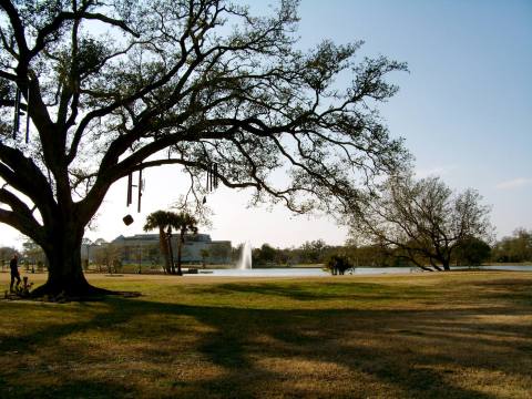 Here Are The 8 Most Incredible Natural Wonders Hiding Around New Orleans