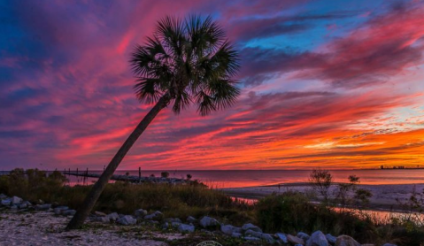 14 Gorgeous Beaches in Mississippi You Have To Check Out This Summer