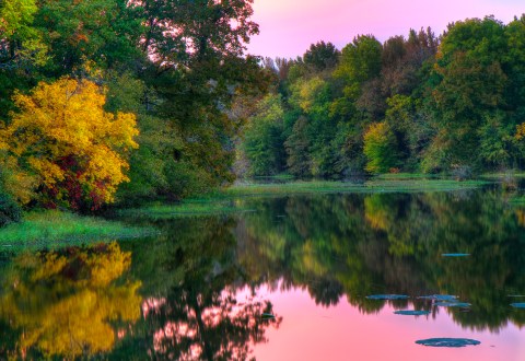 12 Best Rivers For An Epic Arkansas Float Trip