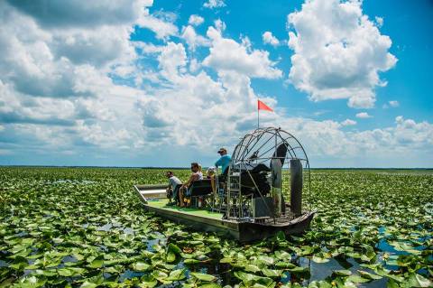 Here’s Florida's Top Outdoor Attraction… And You’ll Definitely Want To Do It