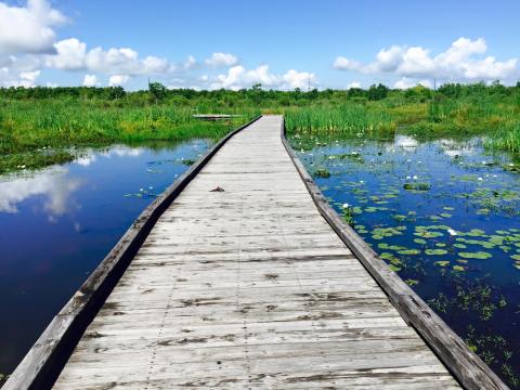 This Little Known Natural Oasis Is Hiding In Louisiana…And You’re Going to Love It