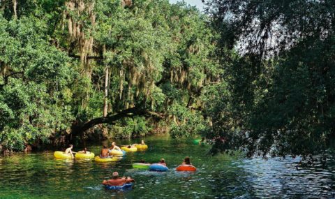 17 Photos That Perfectly Sum Up Florida In The Summertime