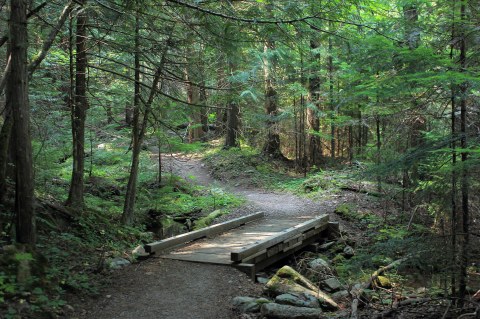 This One Easy Hike In Idaho Will Lead You Someplace Unforgettable