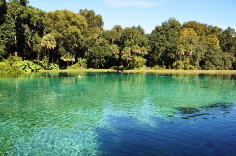 There's No Better Place To Be Than These 12 Natural Springs In Florida