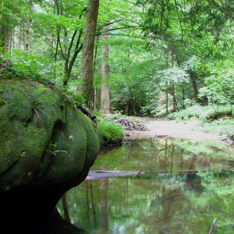 This One Easy Hike In Alabama Will Lead You To Someplace Unforgettable