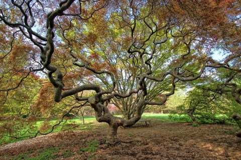 This Underrated Arboretum Just Might Be The Most Beautiful Place In Maryland