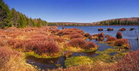 This Little Known Natural Oasis Is Hiding In Pennsylvania... And You're Going To Love It