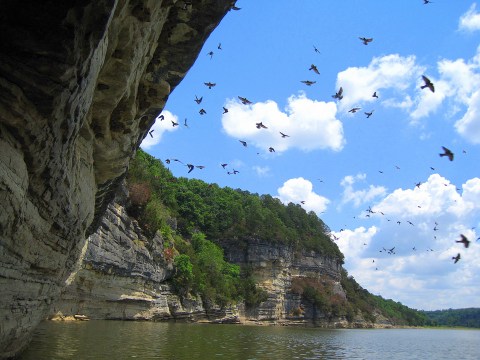 17 Reasons To Drop Everything And Visit Beaver Lake In Arkansas