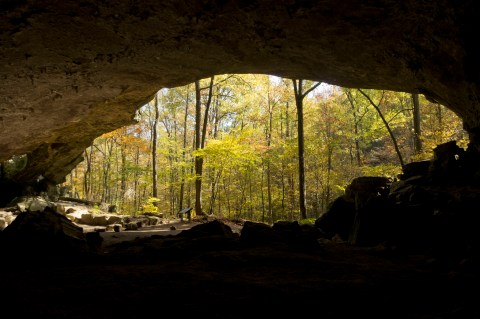 Hiking To This Aboveground Cave In Arkansas Will Give You A Surreal Experience