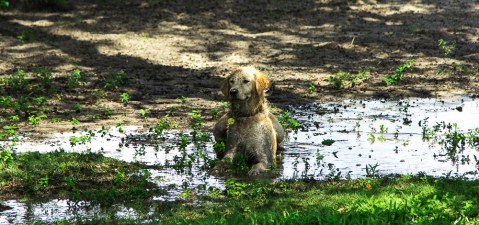 10 Photos That Perfectly Sum Up Louisiana In The Summertime