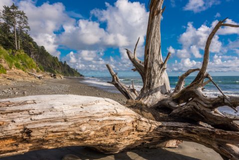 16 Photos That Perfectly Sum Up Washington In The Summer