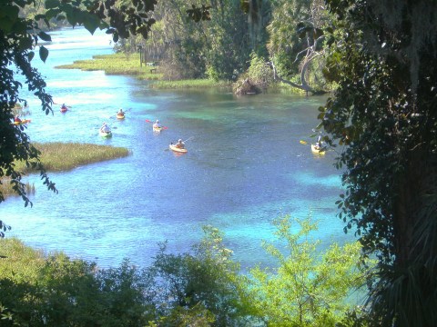 You Will Not Believe This Incredibly Colorful State Park Is Hiding In Central Florida